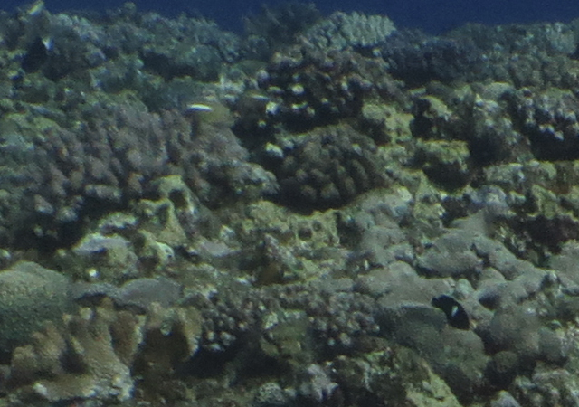 a0060407_1942112.jpg