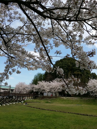 b0129008_20255651.jpg