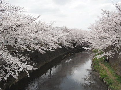 c0184211_10403635.jpg