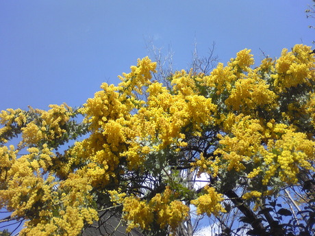 b0309813_0503241.jpg