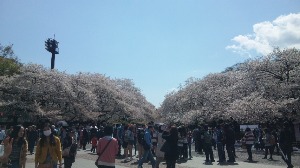 f0274713_12242731.jpg