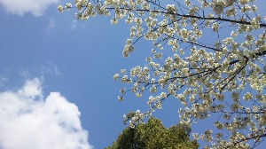 f0274713_12244142.jpg