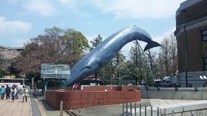 f0274713_1227497.jpg