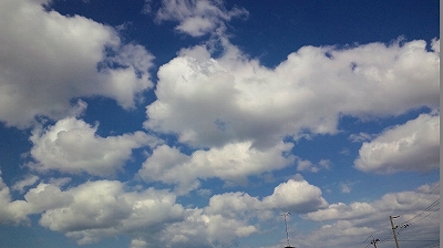 e0091220_21345536.jpg