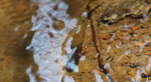 a0304423_11431158.jpg