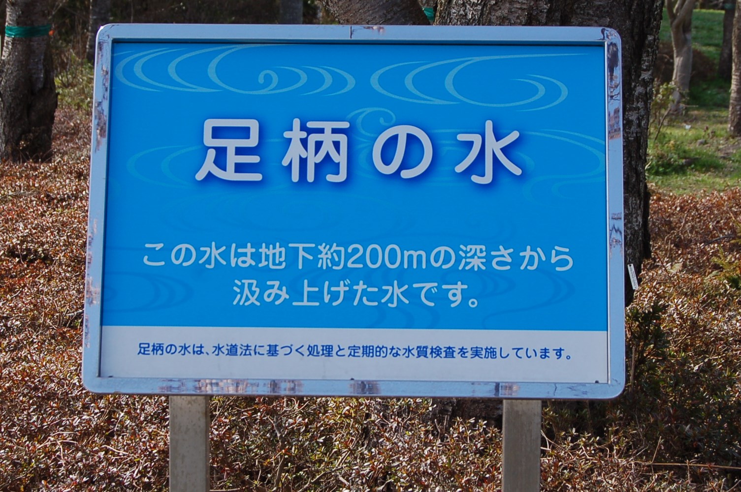 e0071324_1372422.jpg