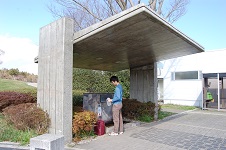 e0071324_1482287.jpg
