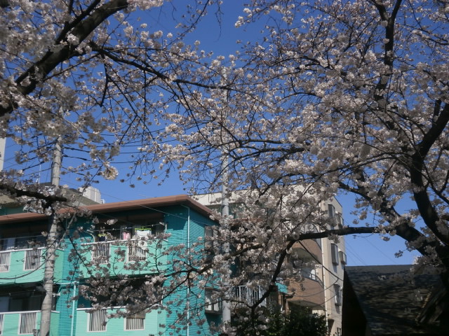 a0214329_1144195.jpg