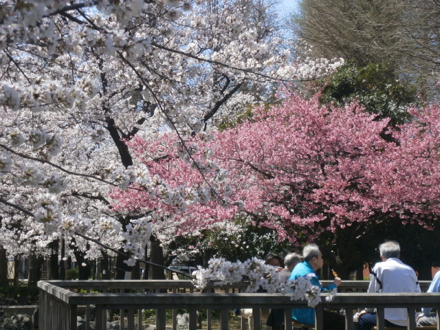 a0214329_11464966.jpg