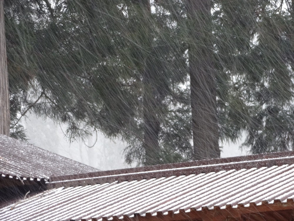 c0111229_1759281.jpg