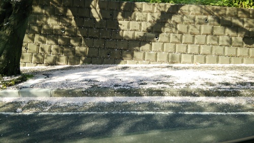 e0166032_21504272.jpg