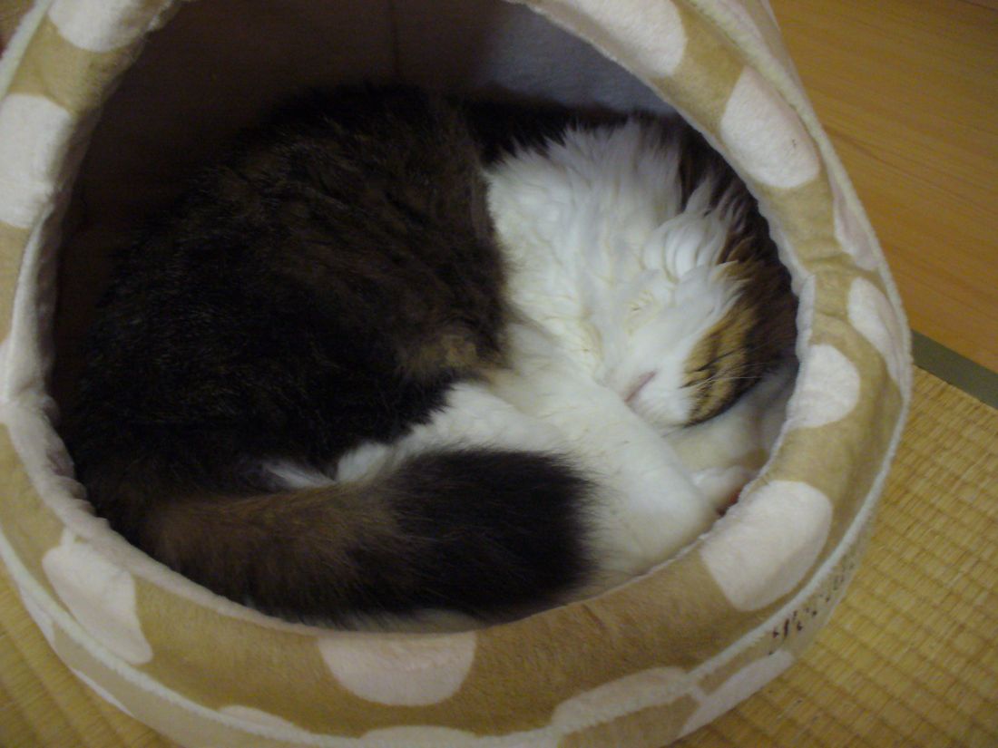 f0275632_2255383.jpg