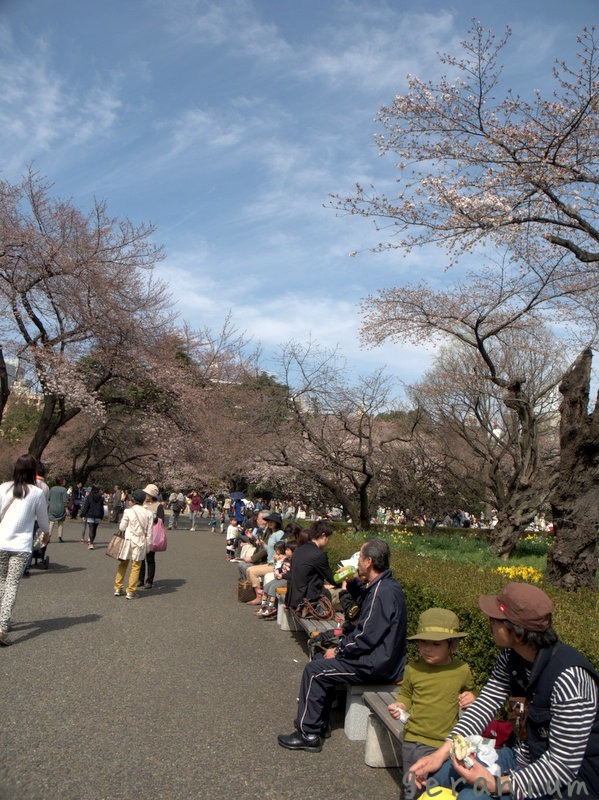 c0133533_01203751.jpg
