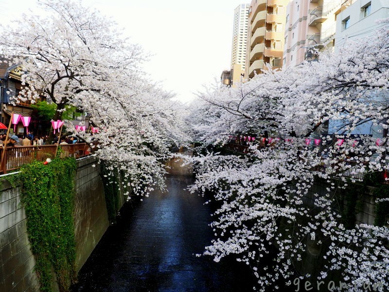c0133533_01333802.jpg