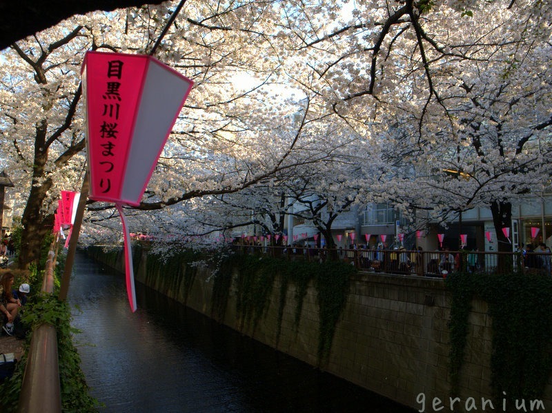 c0133533_01344981.jpg