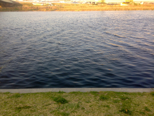 d0013834_11535520.jpg