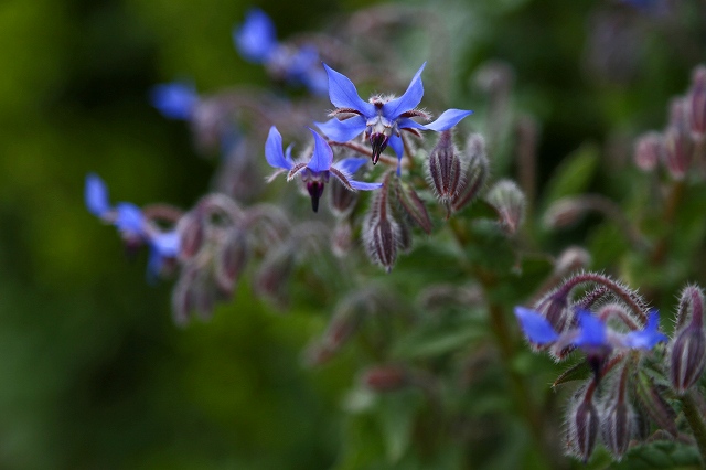 a0242438_19114059.jpg