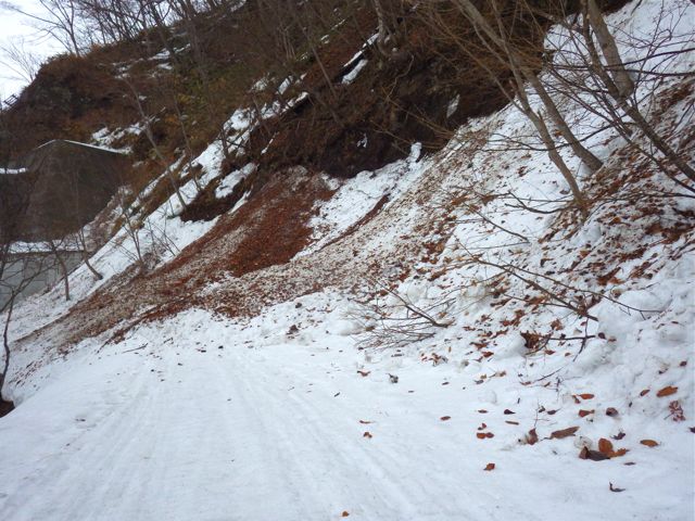 e0290546_19095012.jpg