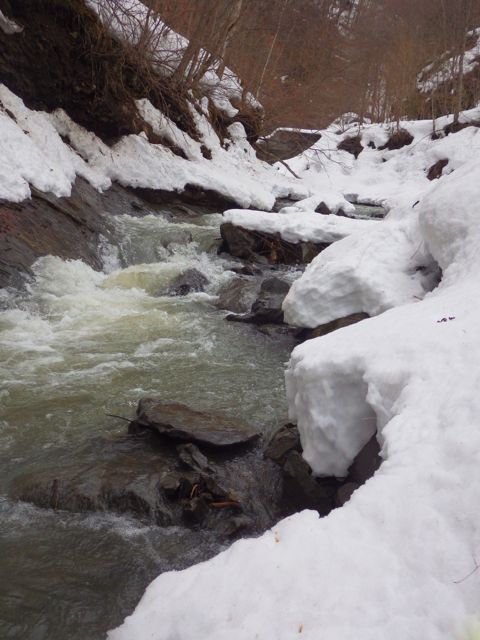 e0290546_19112612.jpg