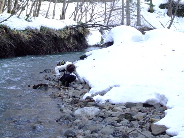 e0290546_19151847.jpg
