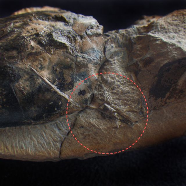 e0290546_19193006.jpg