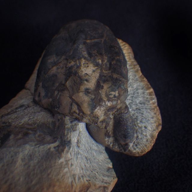e0290546_19193530.jpg