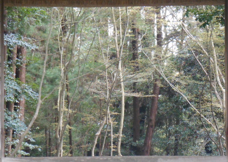 e0297347_92744.jpg