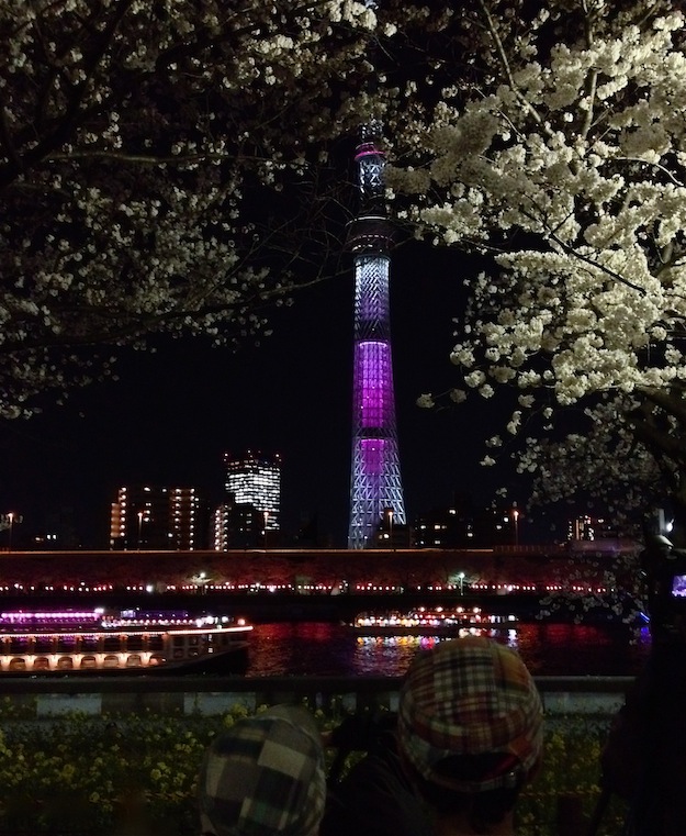 a0119252_92791.jpg