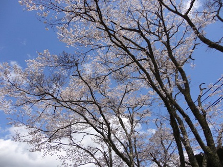 f0046854_22261085.jpg