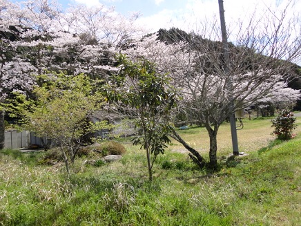 f0046854_2228447.jpg