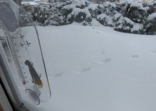 e0004756_21301297.jpg