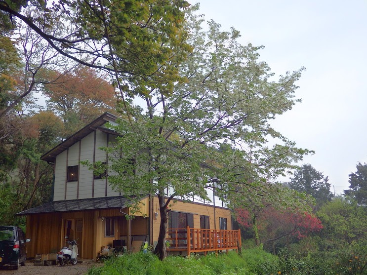 f0201157_16495951.jpg
