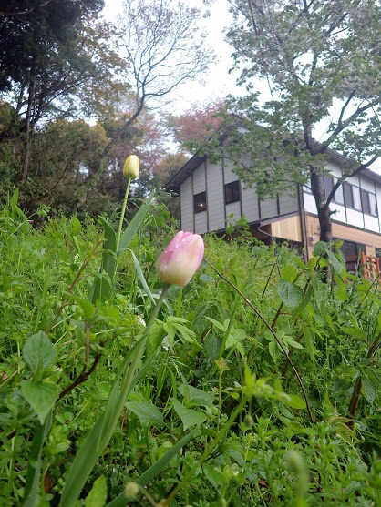 f0201157_165012.jpg
