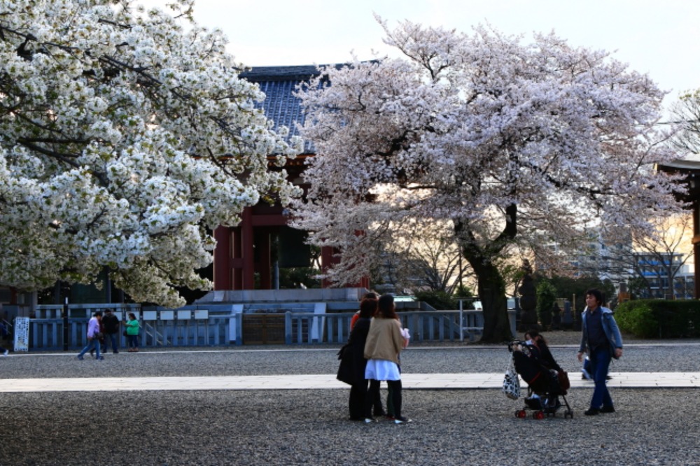 a0150260_9464385.jpg