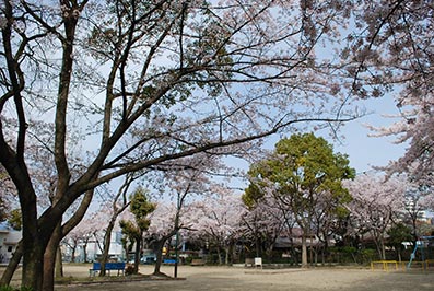 b0059664_1826166.jpg