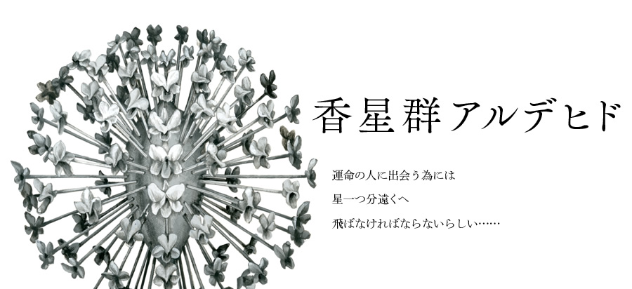 b0207668_3104124.png