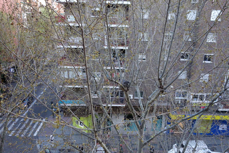 c0216472_22273877.jpg