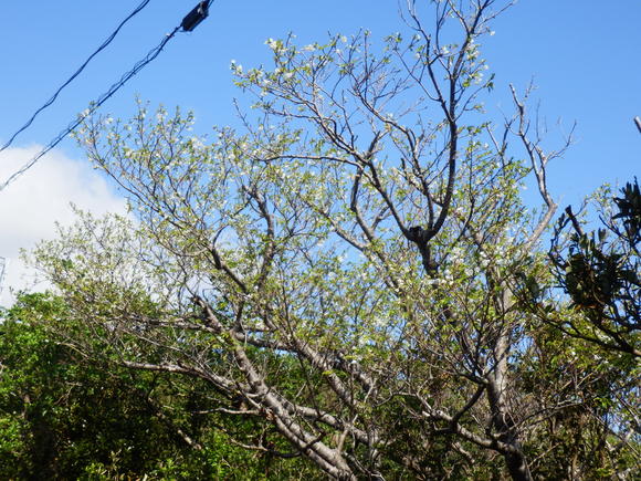 e0292172_20451793.jpg