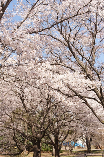 f0314272_20573765.jpg
