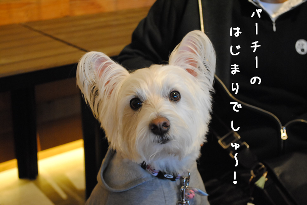 b0242873_11003091.png