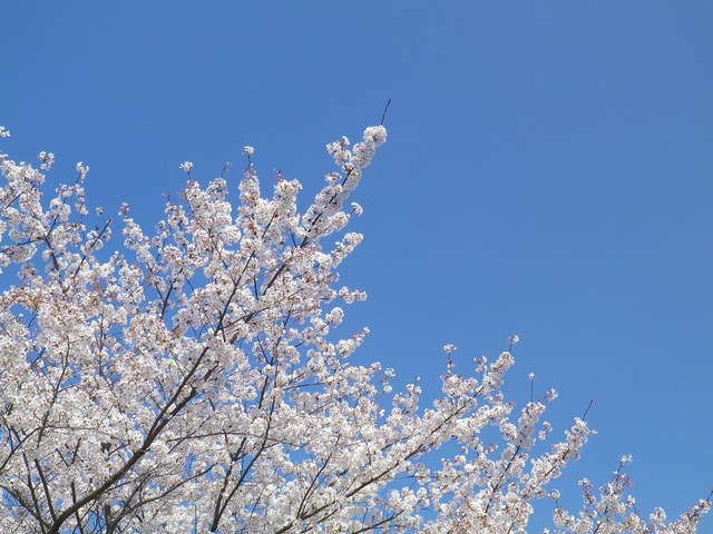 b0326576_21574898.jpg