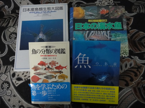 a0002177_12513596.jpg
