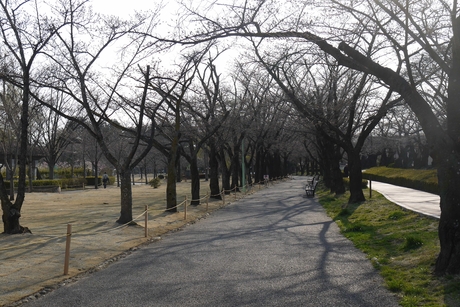 c0283778_18215835.jpg