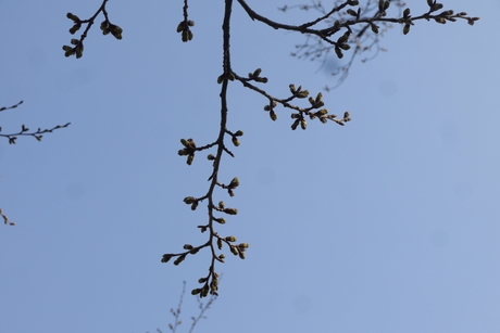 c0283778_18223831.jpg
