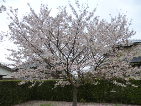 c0329378_19423790.jpg