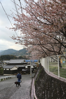 f0037378_11552222.jpg