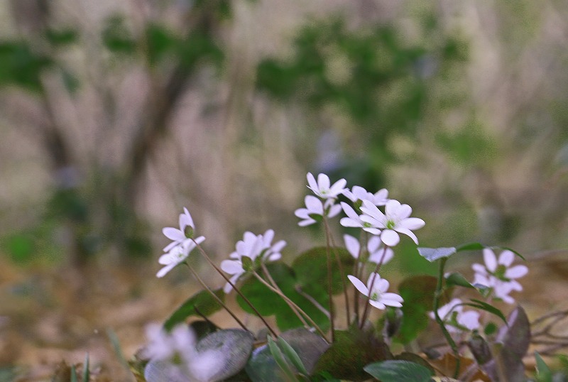 f0000789_2343812.jpg