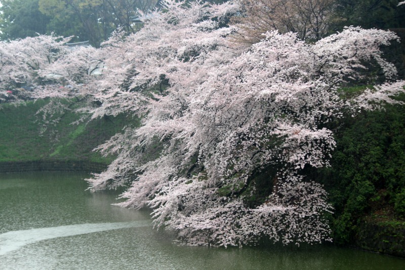 a0127090_105874.jpg