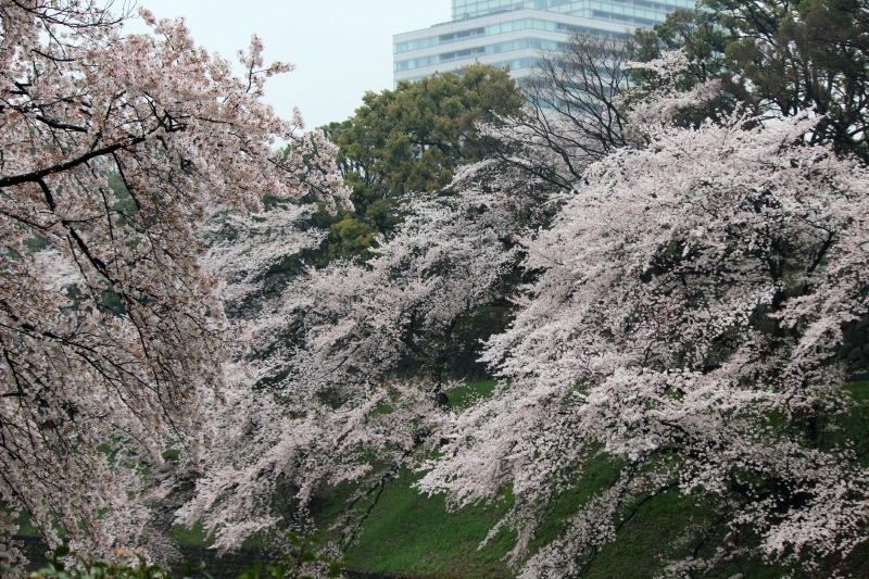 a0127090_1191710.jpg
