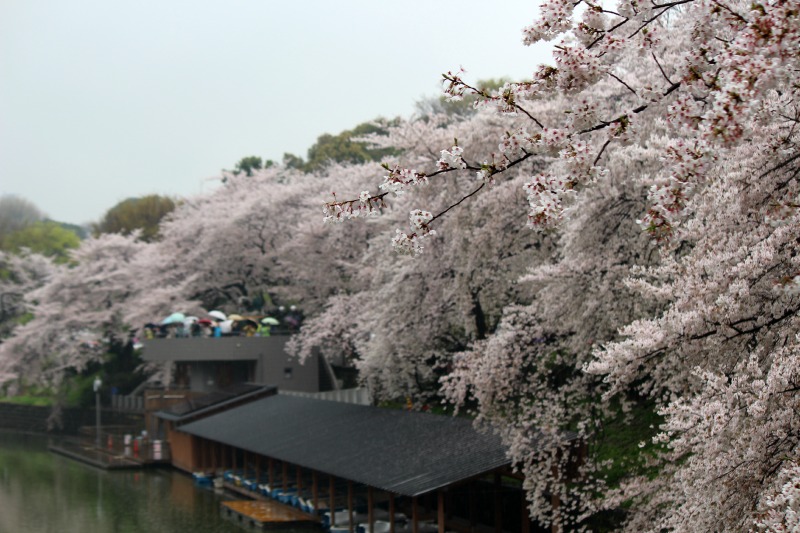 a0127090_1193364.jpg